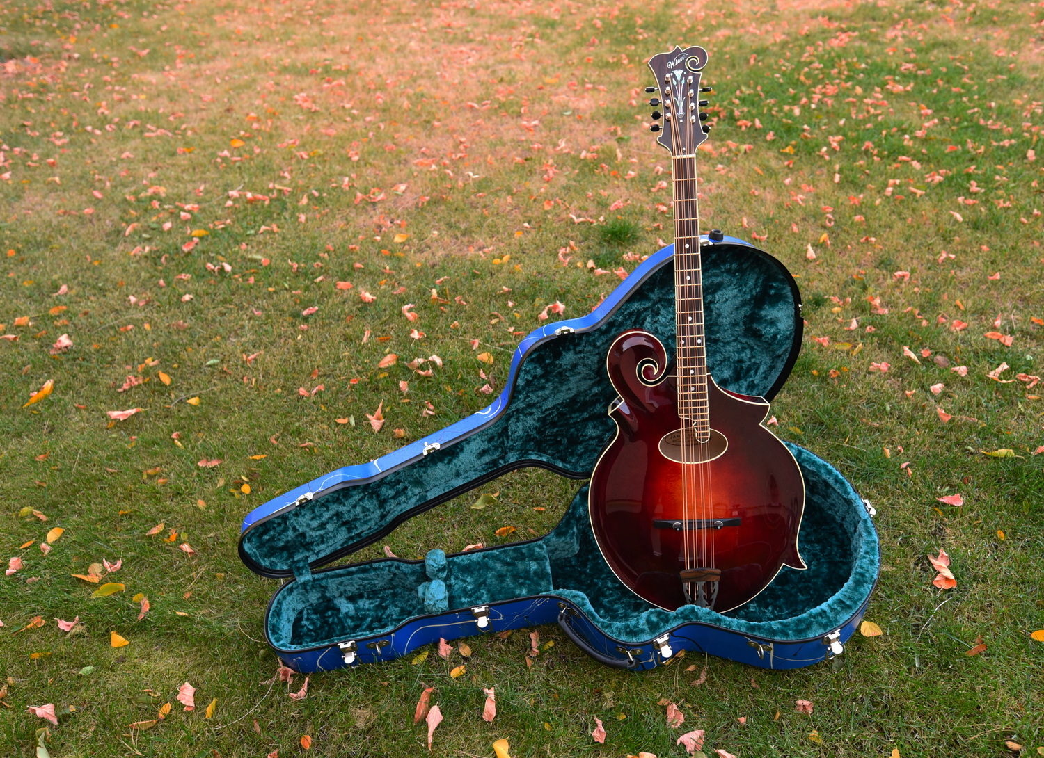 Wiens Mandocello